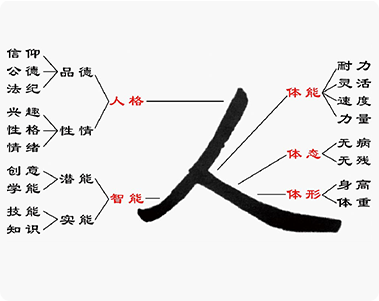 图2全人模型.png
